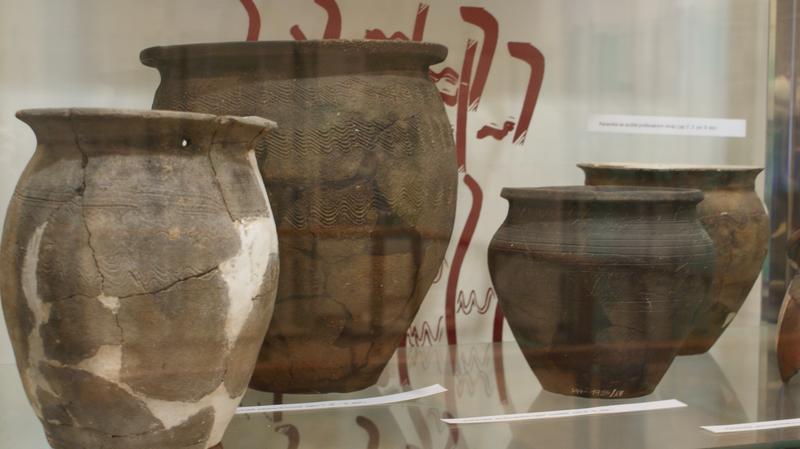 DSC04290.JPG, 800x449, 40.44 KB