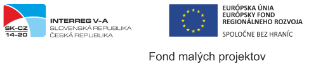 Fond malých projektů