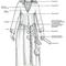Kresebná rekonstrukce oděvu langobardské ženy (400x600, 29.57 KB)
