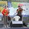 Bezobratri_Majales_BA_2013_011.jpg (800x301, 56.76 KB)