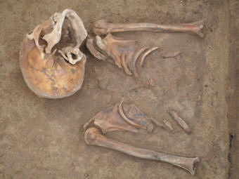 4  raně středověký hřbitov - lebka oddělená od těla, 340x255, 16.41 KB