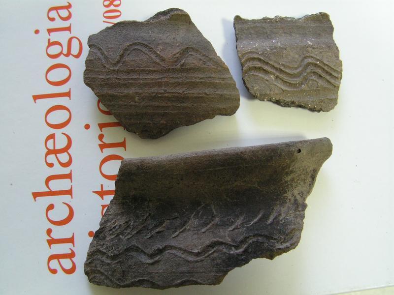 PICT0009.JPG, 800x600, 57.31 KB