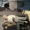 IMG_0362.jpeg (800x600, 76.05 KB)