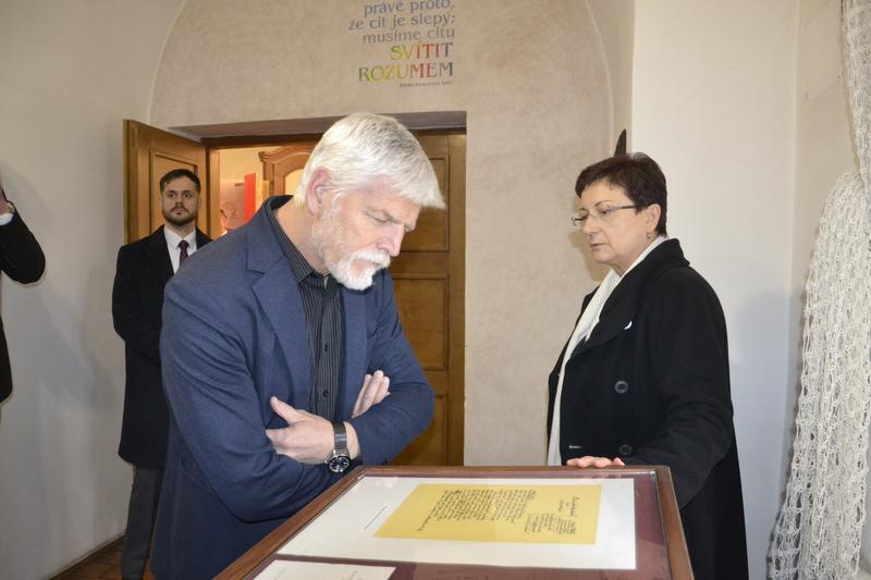 _DSC8421.JPG, 800x533, 46.63 KB