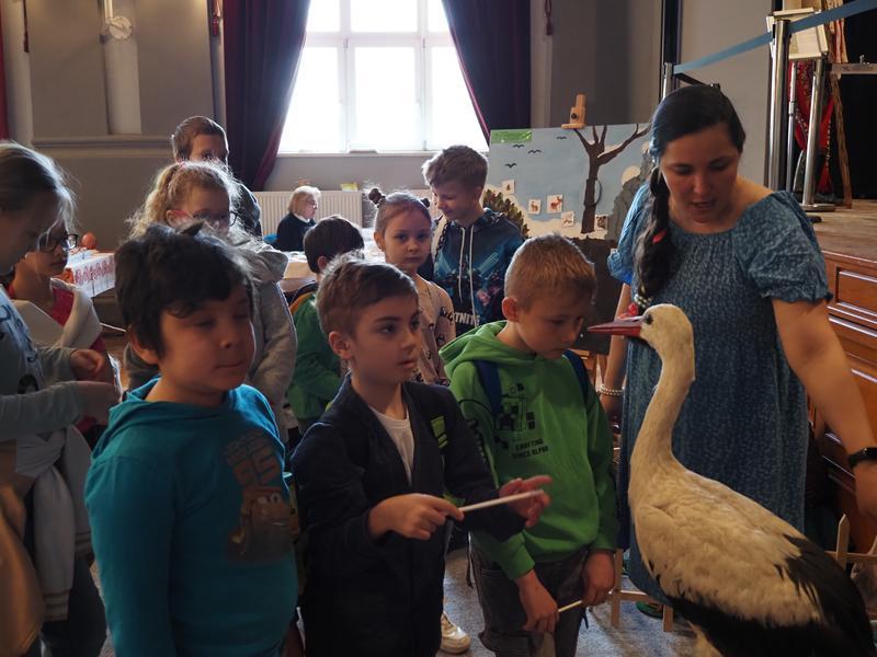 P4060311.JPG, 800x600, 65.28 KB