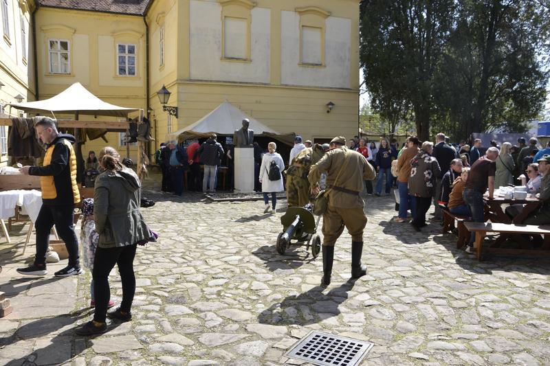 _DSC8615.JPG, 800x533, 98.89 KB