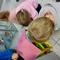 20251201_100814.jpg (800x600, 54.60 KB)