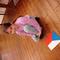20260224_093039 (2).jpg (800x600, 86.19 KB)