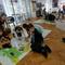 Messenger_creation_D2847AA5-77D5-4777-B166-4292739729C3.jpg (800x450, 57.26 KB)