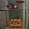 _DSC0838.JPG (399x600, 27.40 KB)