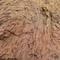 5 stredoveka pec_detail steny s otisky otrub a plev.JPG (800x529, 99.74 KB)