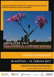 Výstava S. Rutar IMG 7 (1).jpg