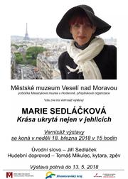 Krása ukrytá nejen v jehlicích - plakát vernisáž.jpg