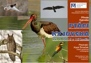 Ptáci Kyjovska.jpg