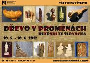Kopie - Dřevo v proměnách.JPG