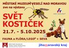 Svět kostiček.jpg