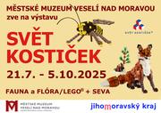 Svět kostiček.jpg