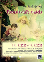 Poznala duše anděla PLAKÁT.jpg