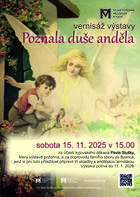 Poznala duše anděla PLAKÁT muzeum.jpg