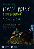 Malý princ.jpg