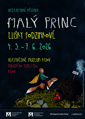 Malý princ.jpg