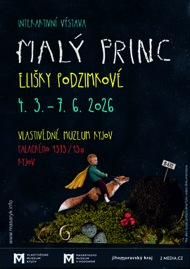 Malý princ!.jpg