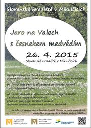 Jaro na Valech s česnekem medvědím 2015 jpg.jpg