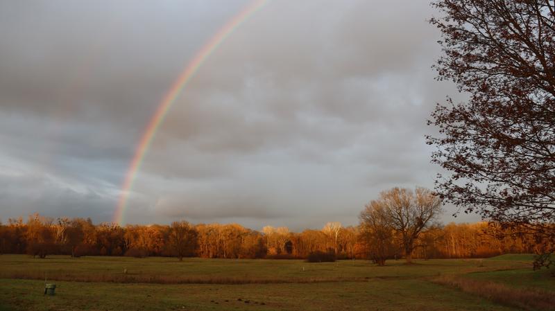 Jedna z podzimních duh, 800x449, 45.22 KB