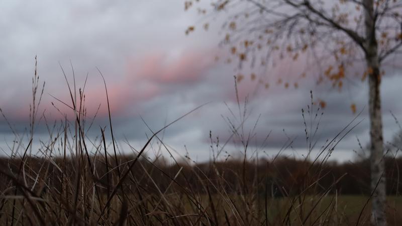 Mizející červánky, 800x449, 37.13 KB