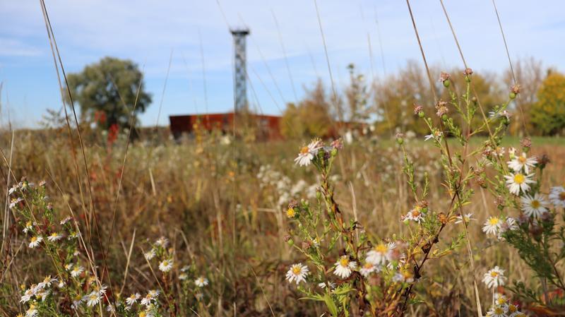 Rozhledna přes louku, 800x449, 61.85 KB