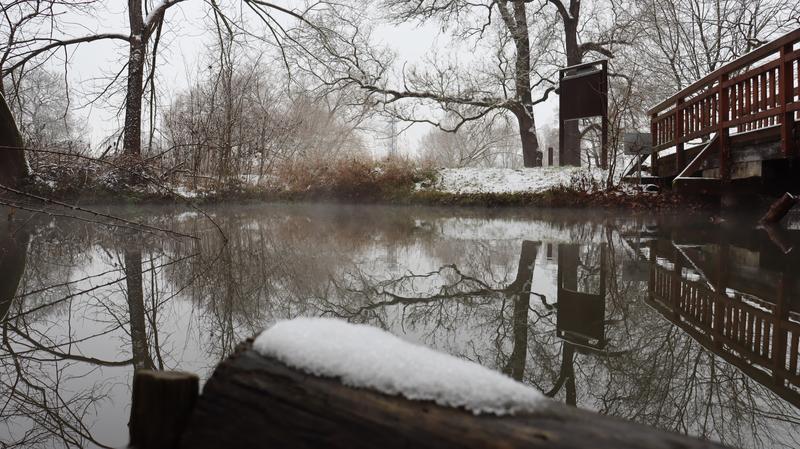 Zpětný pohled, 800x449, 88.40 KB