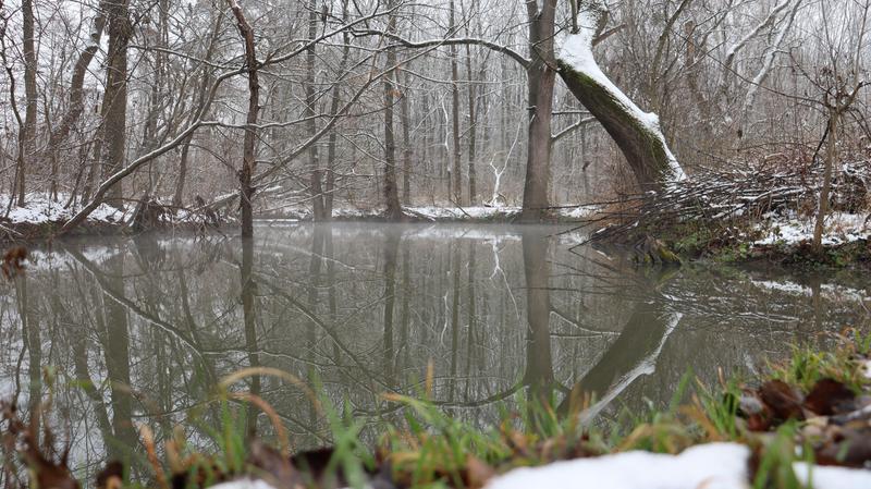 Tzv. teplý járek, 800x449, 93.17 KB