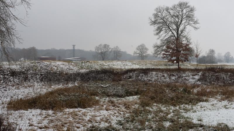 Pohled přes rybníček v místě dřívějšího ramene Moravy, 800x449, 76.82 KB