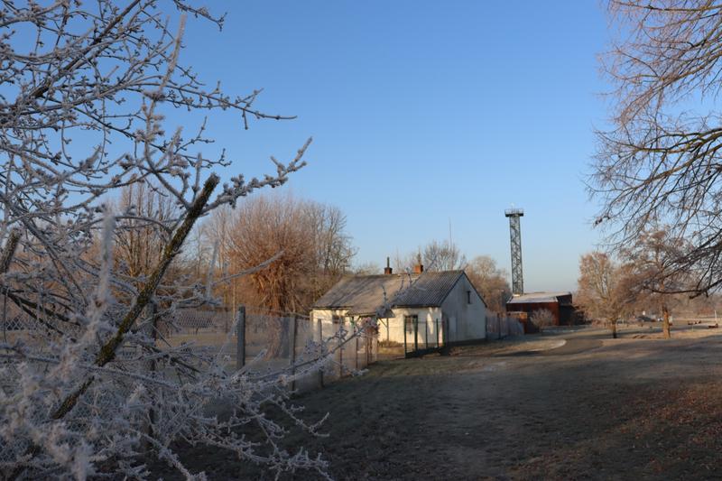 IMG_0092_.jpg, 800x533, 74.29 KB