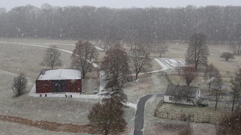 IMG_1692_.jpg, 800x449, 65.89 KB