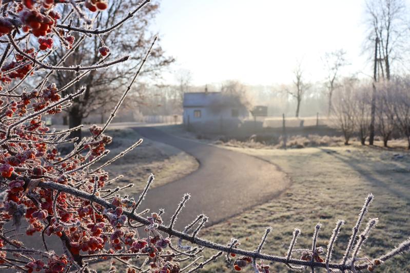 IMG_0104_.jpg, 799x533, 87.78 KB