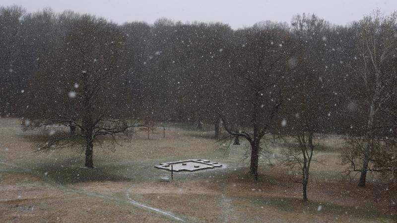 IMG_1699_.jpg, 800x449, 63.33 KB