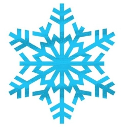 vločka2.jpg, 244x253, 40.55 KB