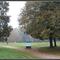 14.10.2014, 17,5 °C (800x374, 71.22 KB)
