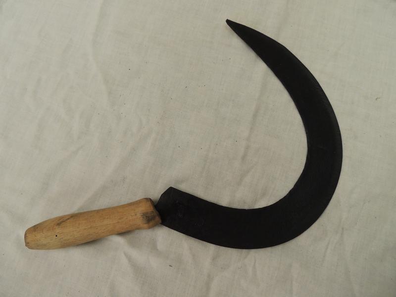 E 1236-2.jpg, 800x600, 33.04 KB